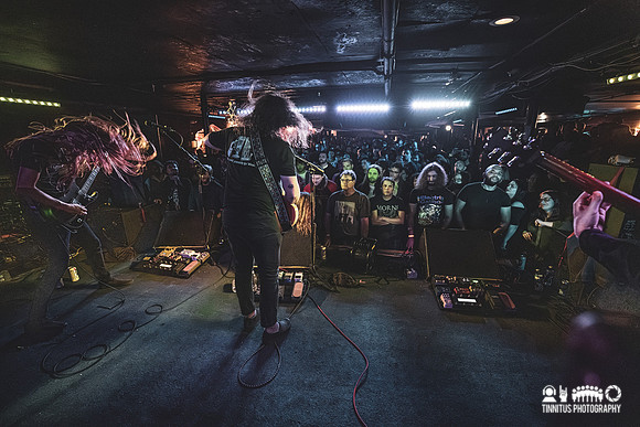 Elder in concert