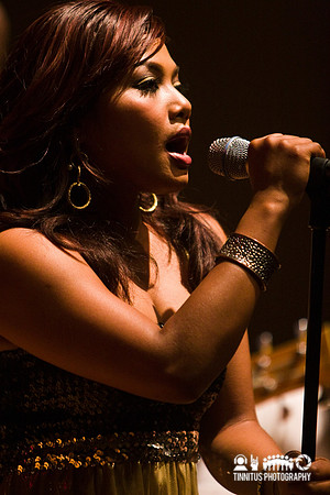 Dengue Fever in concert