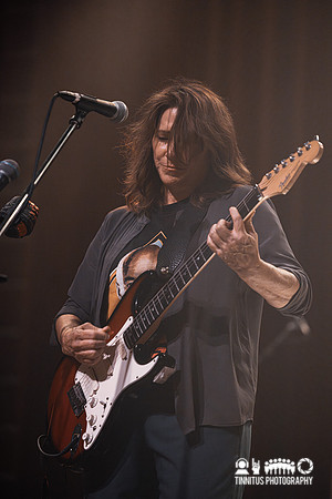 Breeders in concert