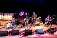Kiwi Jr. in concert