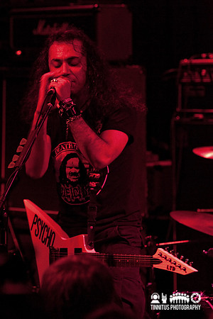 Acrassicauda in concert