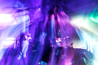 Orchid Mantis in concert