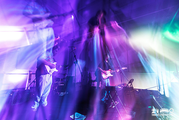 Orchid Mantis in concert