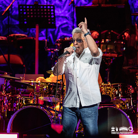 The Who in concert