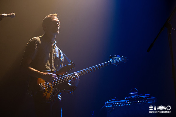 Pet Fox in concert