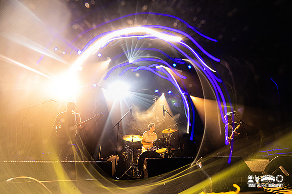 Pet Fox in concert