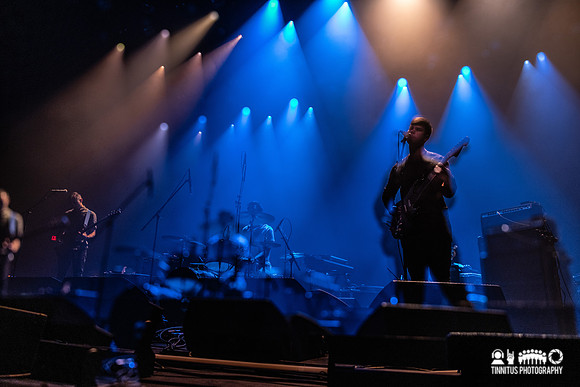 Pet Fox in concert