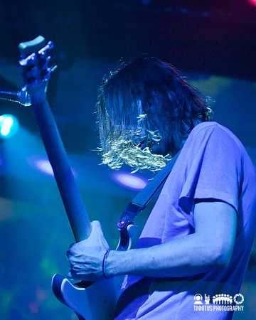 Animal Collective in concert at day 3 of All Tomorrow's Parties