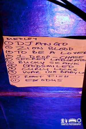 Day 1 of All Tomorrow's Parties, curated by Animal Collective