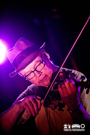 Tony Conrad in concert at day 3 of All Tomorrow's Parties