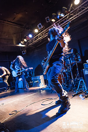 Alcest in concert