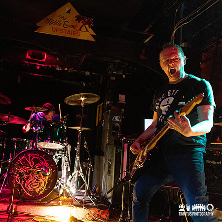 Minibeast in concert