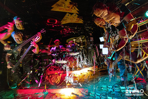 Minibeast in concert