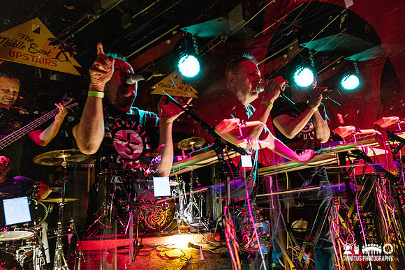 Minibeast in concert