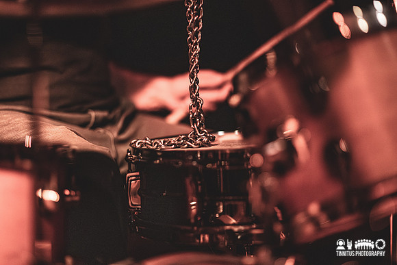 MSSV in concert