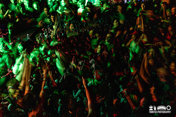 The Chats in concert