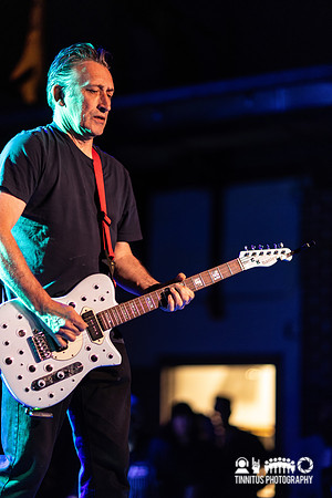 The Chameleons in concert