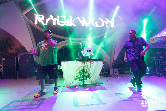 Raekwon and GZA in concert