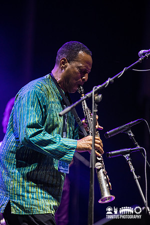 Kamasi Washington in concert