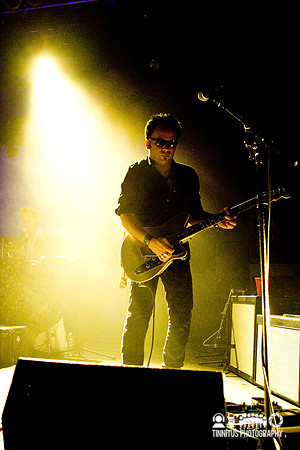 Grasshopper of Mercury Rev