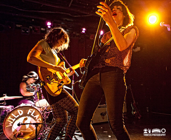 Wild Flag in concert