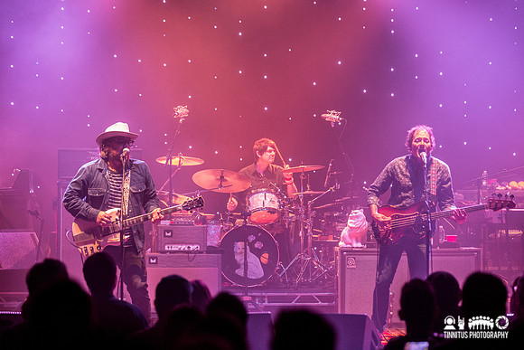 Wilco in concert