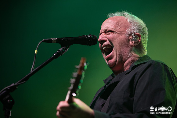 Ween in concert