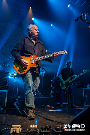 Ween in concert