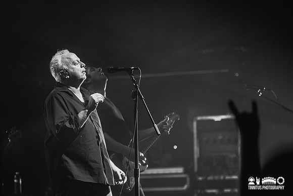 Ween in concert