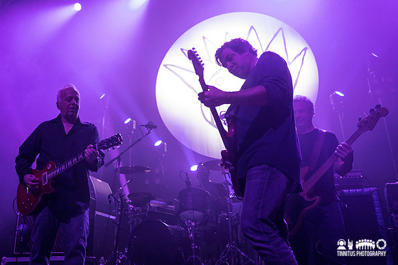 Ween in concert