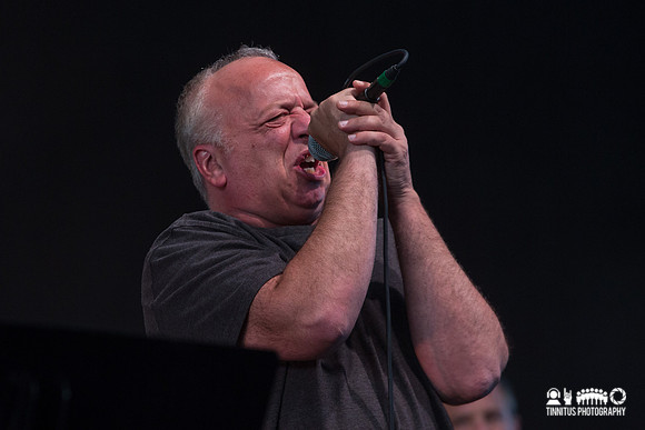 Ween in concert
