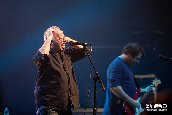 Ween in concert