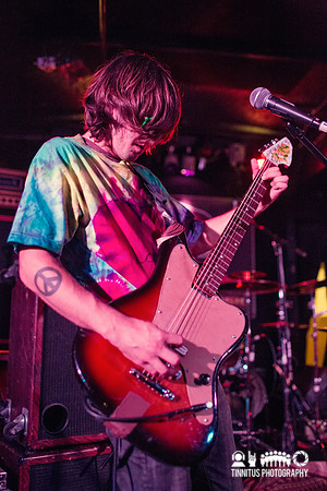 Tweak Bird in concert