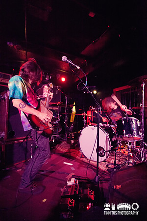 Tweak Bird in concert
