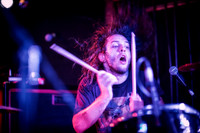Tweak Bird in concert