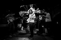 Ultimate Painting in concert