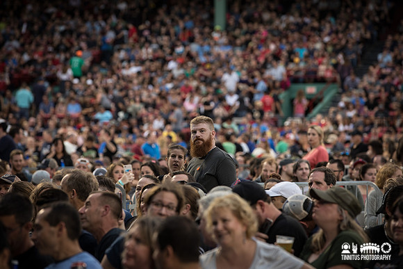 Foo Fighters in concert