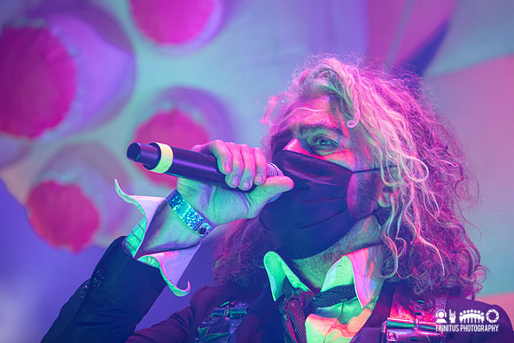 The Flaming Lips in concert