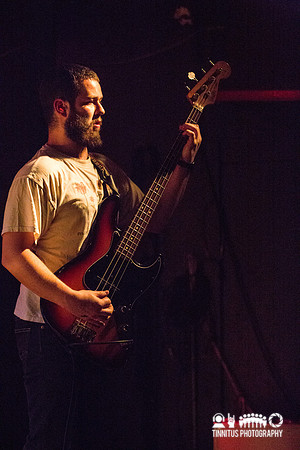 Elder in concert