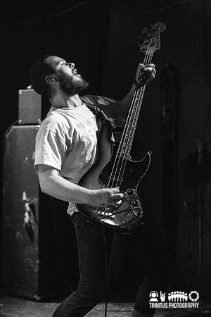 Elder in concert