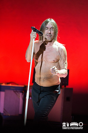 Iggy Pop in concert