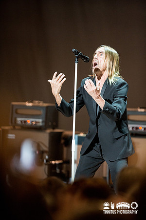 Iggy Pop in concert