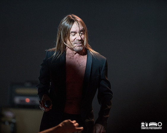Iggy Pop in concert