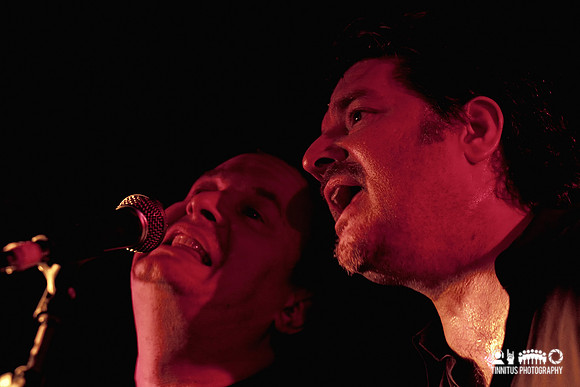 Camper Van Beethoven in concert