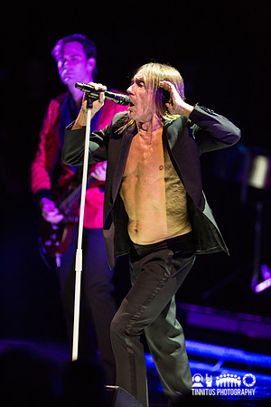 Iggy Pop in concert