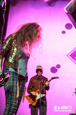 The New Pornographers in concert