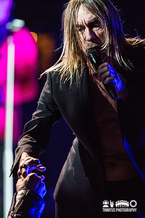Iggy Pop in concert
