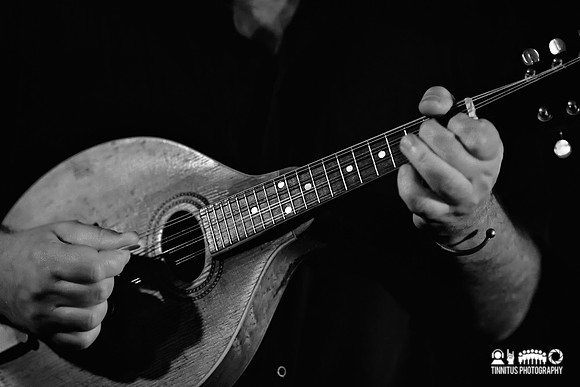 Camper Van Beethoven in concert