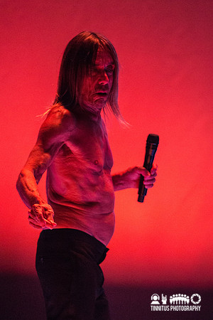 Iggy Pop in concert