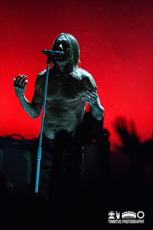 Iggy Pop in concert